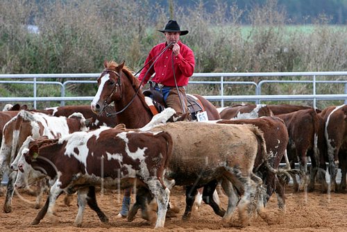 QH062_1575n.jpg