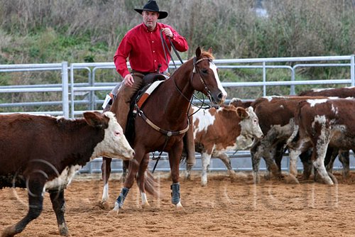 QH062_1576n.jpg
