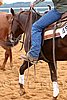 QH062_0939n.jpg