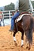 QH062_0942n.jpg