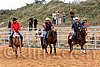 QH062_0944n.jpg