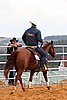 QH062_0949n.jpg