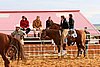 QH062_0965n.jpg