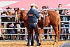 QH062_0967n.jpg