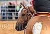 QH062_0968n.jpg