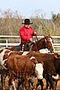 QH062_0969n.jpg