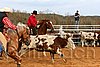 QH062_0973n.jpg