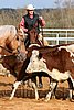 QH062_0982n.jpg