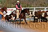 QH062_0984n.jpg