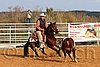 QH062_0985n.jpg