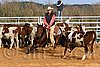 QH062_0988n.jpg