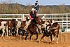QH062_0989n.jpg