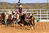 QH062_0990n.jpg
