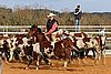 QH062_0991n.jpg
