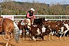 QH062_0992n.jpg