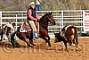 QH062_0993n.jpg