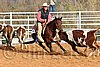 QH062_0994n.jpg