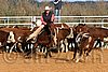 QH062_0995n.jpg