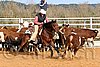QH062_0996n.jpg