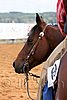 QH062_0999n.jpg