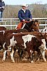 QH062_1000n.jpg