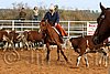 QH062_1006n.jpg