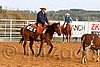 QH062_1007n.jpg