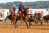 QH062_1010n.jpg