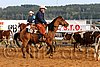 QH062_1012n.jpg