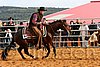 QH062_1027n.jpg