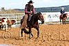 QH062_1030n.jpg