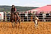 QH062_1037n.jpg