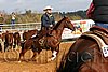 QH062_1050n.jpg