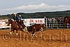QH062_1053n.jpg
