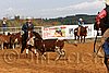 QH062_1057n.jpg