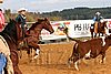 QH062_1060n.jpg