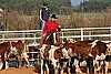 QH062_1064n.jpg