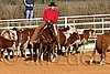 QH062_1067n.jpg