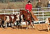 QH062_1068n.jpg