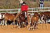 QH062_1069n.jpg