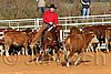 QH062_1070n.jpg
