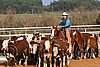 QH062_1082n.jpg