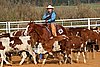 QH062_1083n.jpg