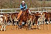 QH062_1090n.jpg