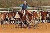 QH062_1091n.jpg