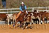 QH062_1093n.jpg