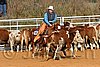 QH062_1094n.jpg