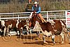 QH062_1095n.jpg