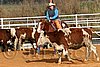 QH062_1096n.jpg