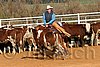 QH062_1098n.jpg